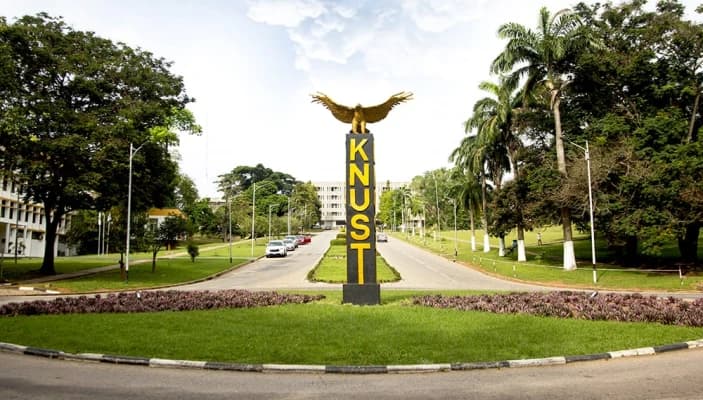 Campus Ambassador Role