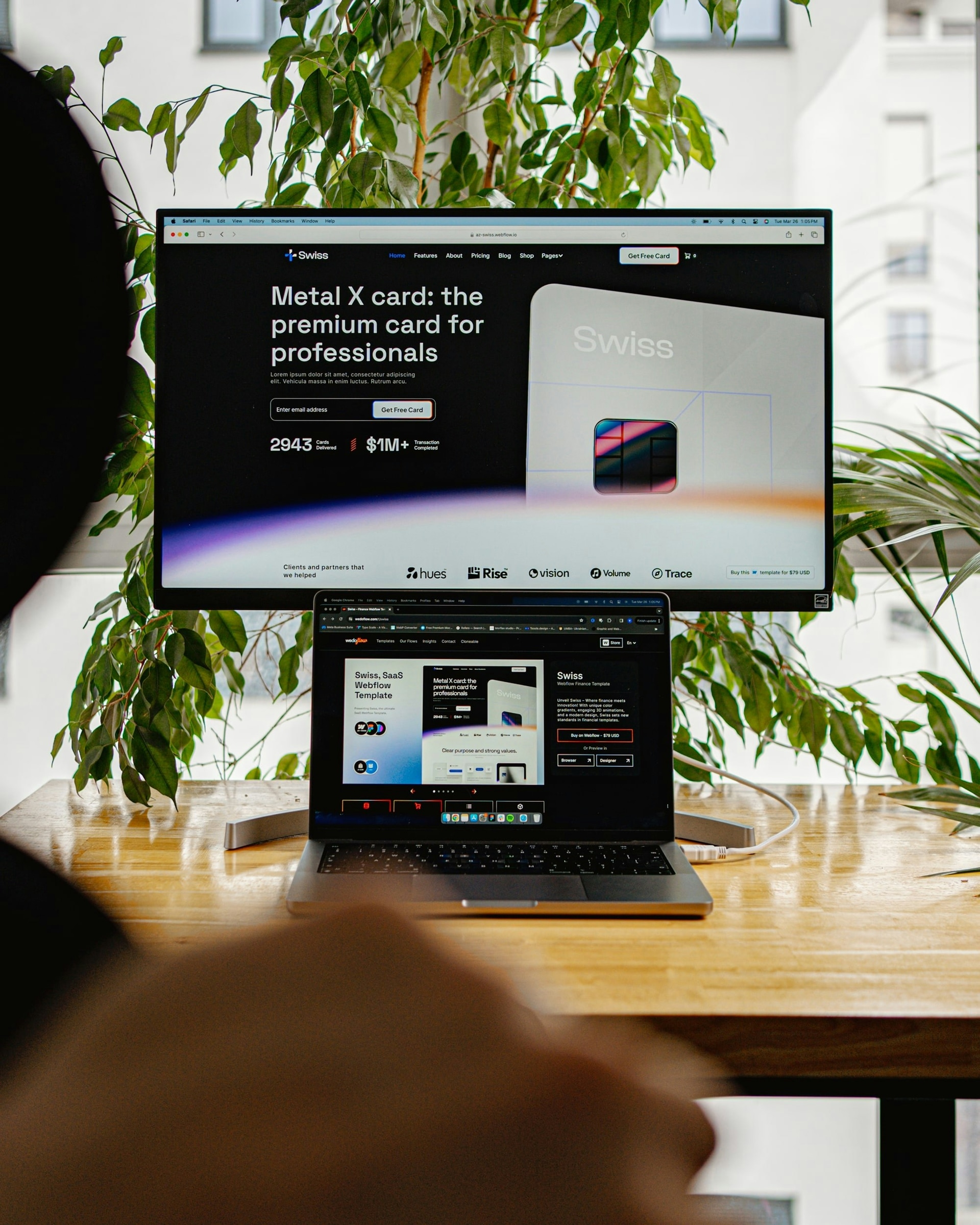 Web Development